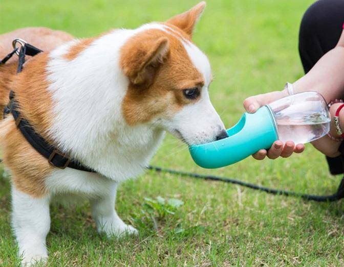 Portable Pet Water Bottle Dog in a Car US market only Color : Pink|Turquoise |White Portable Pet Water Bottle Dog in a Car US market only Color : Pink|Turquoise |White