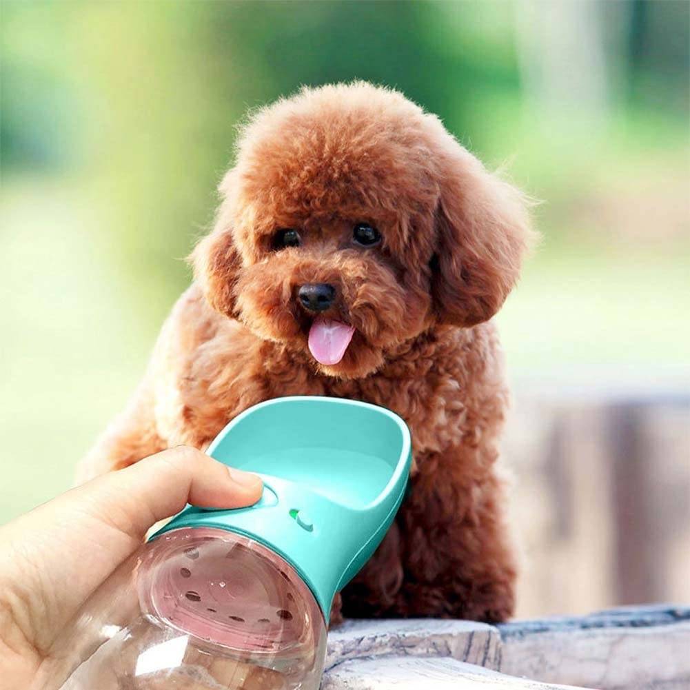 Portable Pet Water Bottle Dog in a Car US market only Color : Pink|Turquoise |White Portable Pet Water Bottle Dog in a Car US market only Color : Pink|Turquoise |White